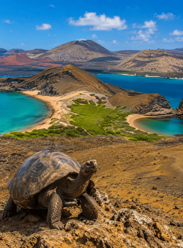 GALAPAGOS
