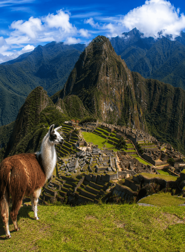 SOUTH AMERICA